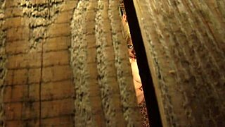Bent Over Bound Slave Fingers Gaping Ass Masturbating To Orgasm For Madame