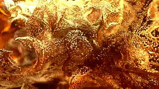 i can't resist flexy teen lenis diamod's hardcore anal bbc gangbang gaping