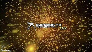 shebang tv features chessie kay dolly kitty and chantelle white