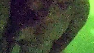 family relationship part forty nine with asian blowjob and riding