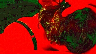 omg i love giving head bbw submissive blow job red light