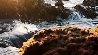 Video De Uma Novinha De 18 Anos